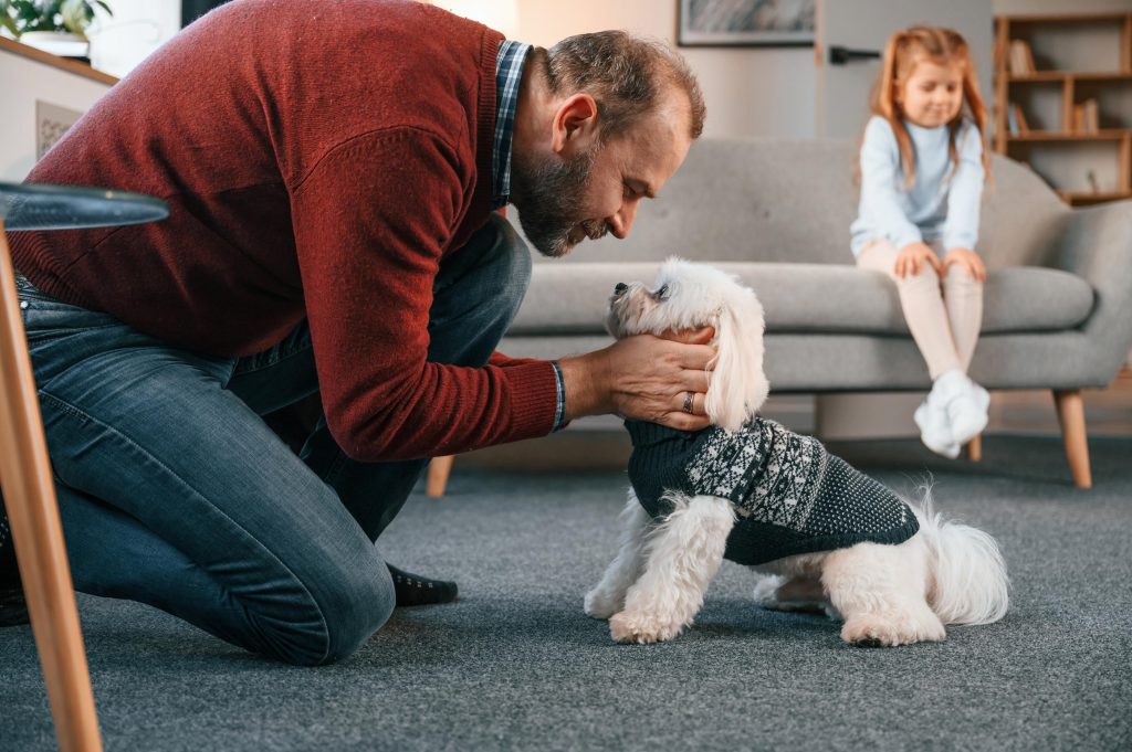 Man is taking care of his maltese dog. Girl is sitting on the sofa